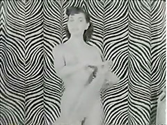 Jolly Zebra Dance